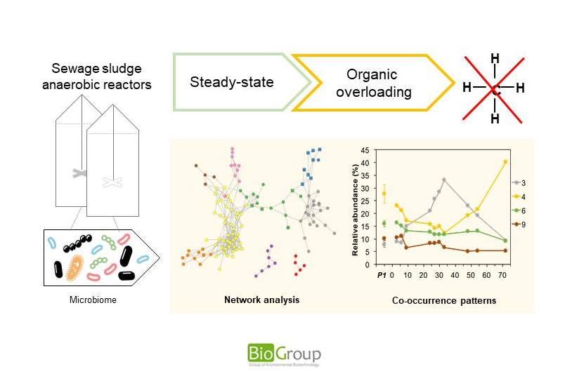 How organic overloads affect the anaerobic digesters microbiome